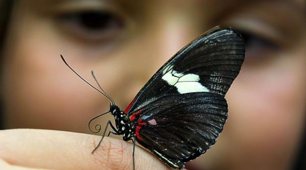 15 septembrie 2011 imaginile zilei