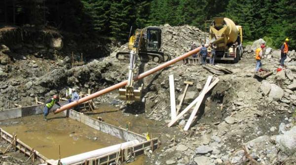 opriti dezastrul ecologic din fagaras vezi ce au facut baietii destepti din albia paraului capra video