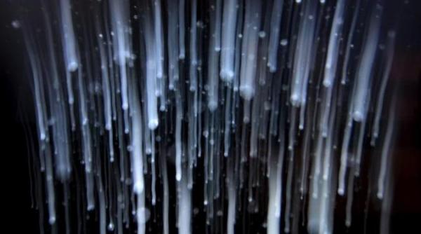 fenomen unic in viata draconidele pe cerul romaniei in octombrie