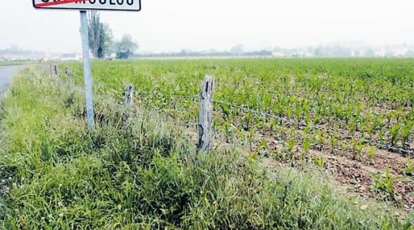 singura proba recunoasterea faptei