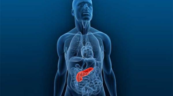 terapie in cancerul de pancreas