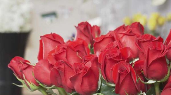 razboiul schengen faza pe lalele doi oficiali olandezi vorbesc despre santajul romaniei