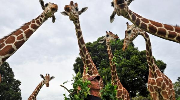 20 septembrie 2011 imaginile zilei