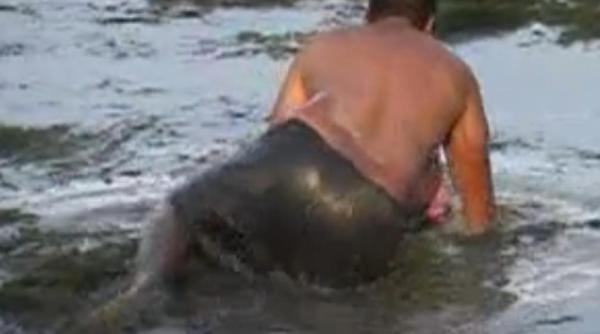 zeci de pitesteni s au bagat pana la gat in noroi dupa peste