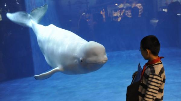 21 septembrie 2011 imaginile zilei