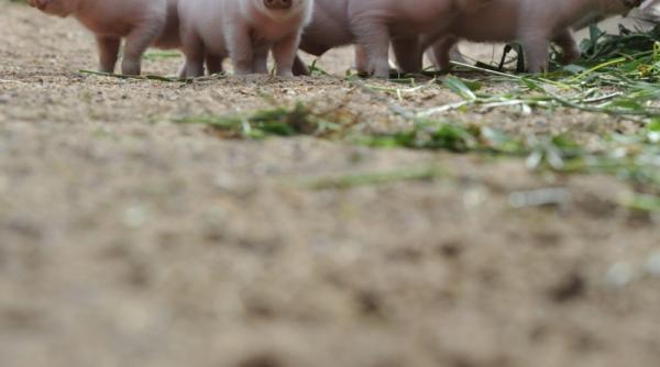 23 septembrie 2011 imaginile zilei