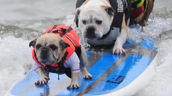 26 septembrie 2011 imaginile zilei