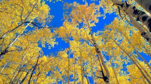 prima temperatura de zero grade din aceasta toamna inregistrata la miercurea ciuc vezi prognoza pe trei zile