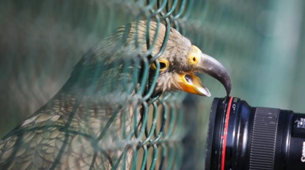 28 septembrie 2011 imaginile zilei