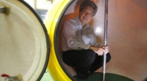 in asteptarea unui nou tsunami devastator japonezii au recreat arca lui noe in miniatura