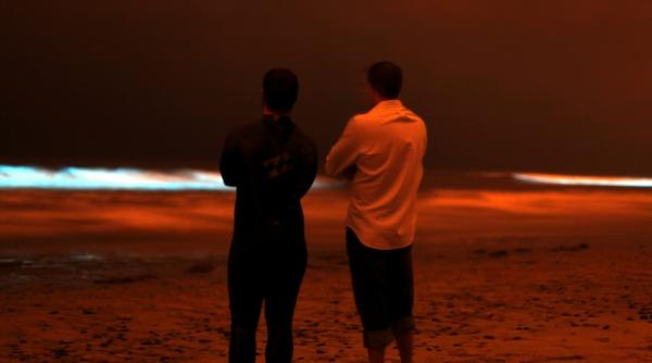 30 septembrie 2011 imaginile zilei