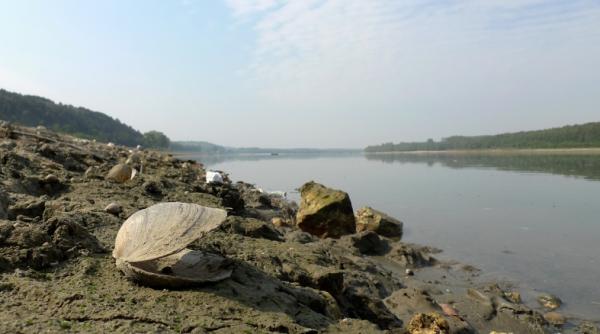 dunarea la cote minime galerie foto