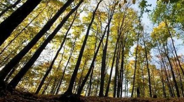 primul weekend din octombrie vine cu ploi vezi prognoza pe trei zile