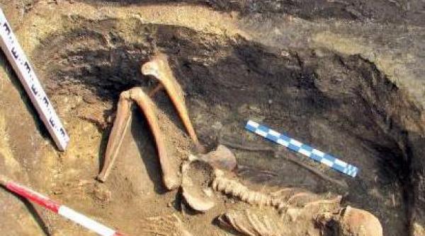 schelete din epoca bronzului descoperite langa ploiesti