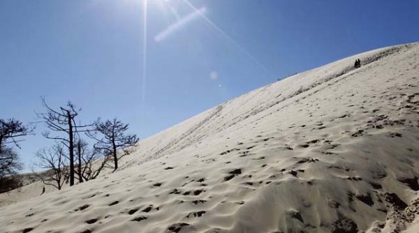 jumatate din uniunea europeana se va transforma in desert in urmatorii 10 ani romania este printre tarile afectate