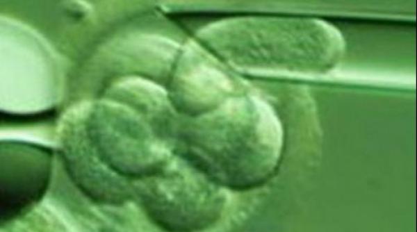 joaca de a dumnezeu cercetatorii au creat embrioni umani din celule ale pielii