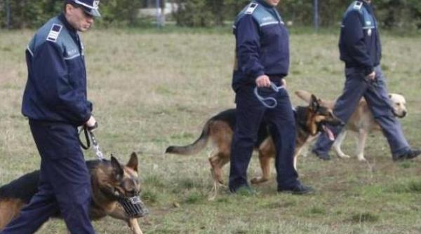 marea evadare 24 de transfugi au fugit pe ferestrele centrului din arad demontand gratiile