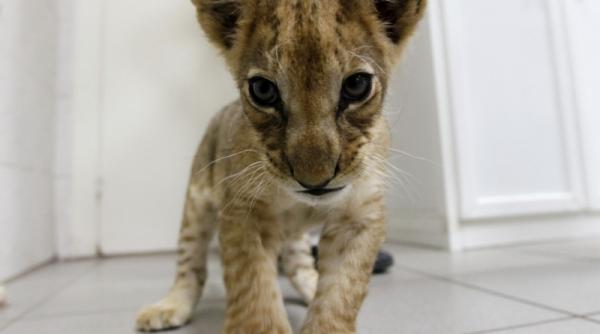 7 octombrie 2011 imaginile zilei