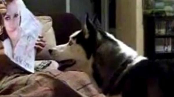 julia roberts pretty woman sperietoare de caini video