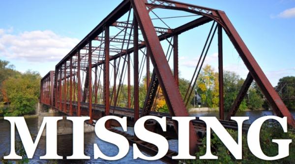 un grup de hoti a furat un pod de 15 metri lungime din america