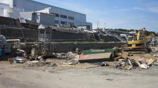 japonia ofera 10 000 de excursii gratuite doritorilor de un voiaj in tara soarelui rasare