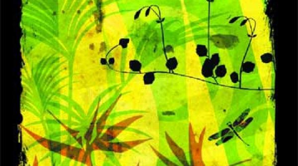 copacul de zahar al malaysiei