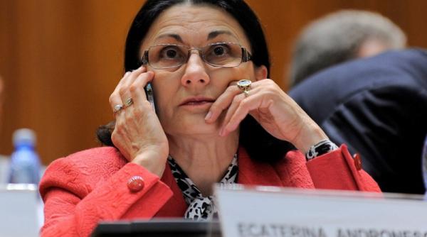 ecaterina andronescu ar putea ajunge primar de sector vezi candidatii usl pentru bucuresti