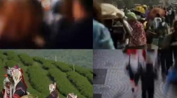 populatia terrei schimba prefixul de saptamana viitoare vom fi sapte miliarde video