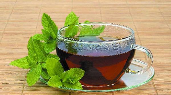 infuzii si decocturi recomandate in enterocolite