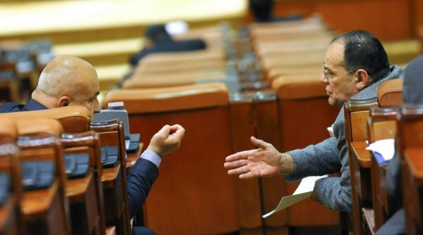 votul la legea cainilor fara stapan se amana doua saptamani