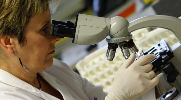 surse iml baschetbalistul american hardy chauncey avea o alcoolemie de 2 la mie