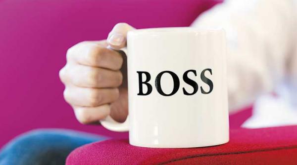 management de top si business aplicat