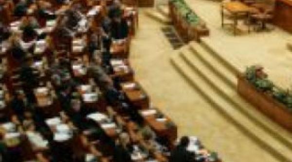 regele mihai a inspectat sala de plen in care va rosti discursul de marti