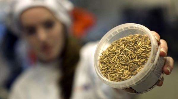 imbraca te cu hainele vechi doneaza ti pantofii fa ti acasa crescatorie de viermi campanie ue impotriva consumerismului video