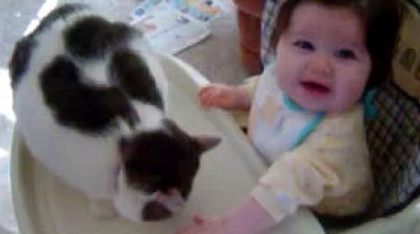 o pisica nervoasa pocneste un bebelus cu chef de joaca video