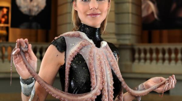 28 octombrie 2011 imaginile zilei