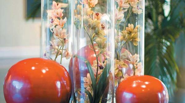 plante naturale fara apa si pamant