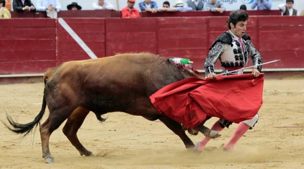 31 octombrie 2011 imaginile zilei