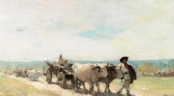 car cu boi vandut la new york pentru 104 000 dolari