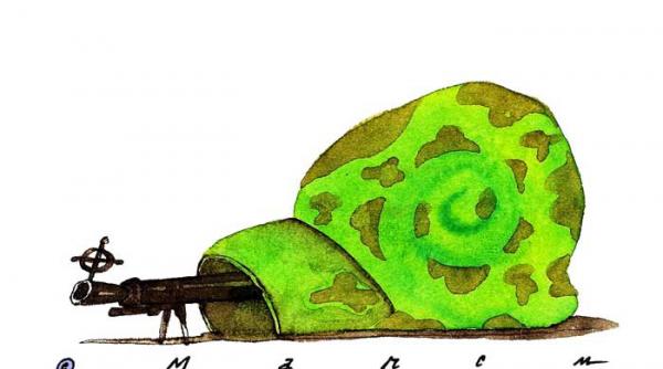 vrem prudenta cu orice risc