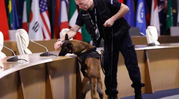 bariere in loc de covor rosu