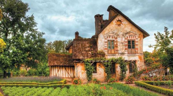 nu au paine sa manance prajituri