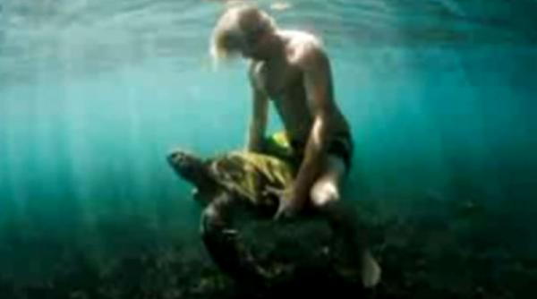 o fotografie starneste indignarea celor care iubesc animalele video