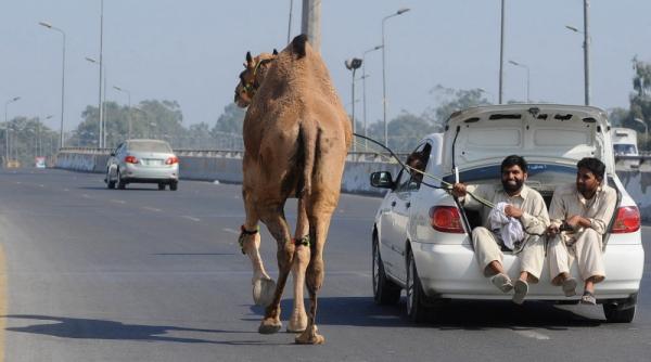 6 noiembrie 2011 imaginile zilei