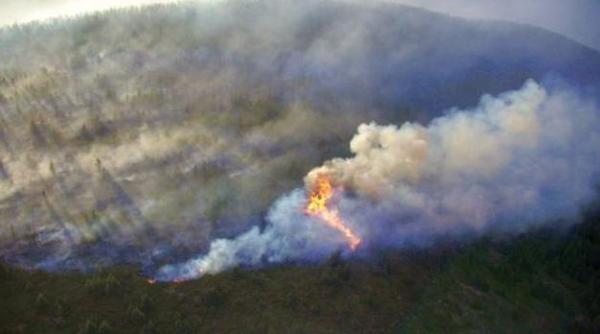 arde transalpina zeci de hectare de padure si pasune alpina mistuite de flacari