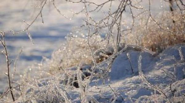 saptamana aceasta va ninge vezi prognoza meteo pe trei zile