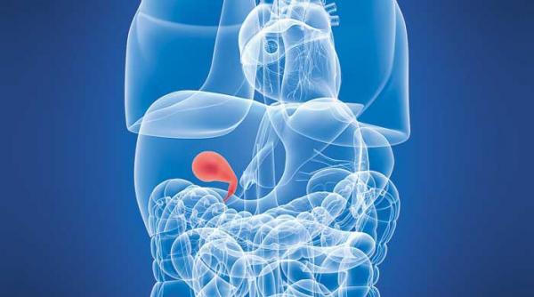 dischinezia nu are sediul in vezica biliara