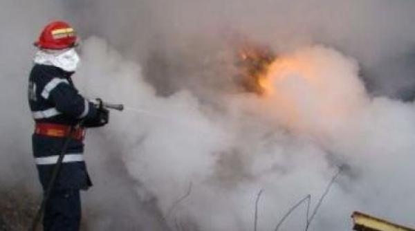 doua hale industriale si un depozit din bucuresti cuprinse de flacari