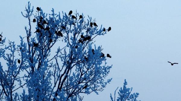 meteorologii anunta minime de 10 grade si ninsori vezi prognoza pe trei zile