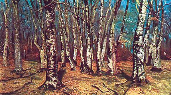 claymoor ecouri mondene 35